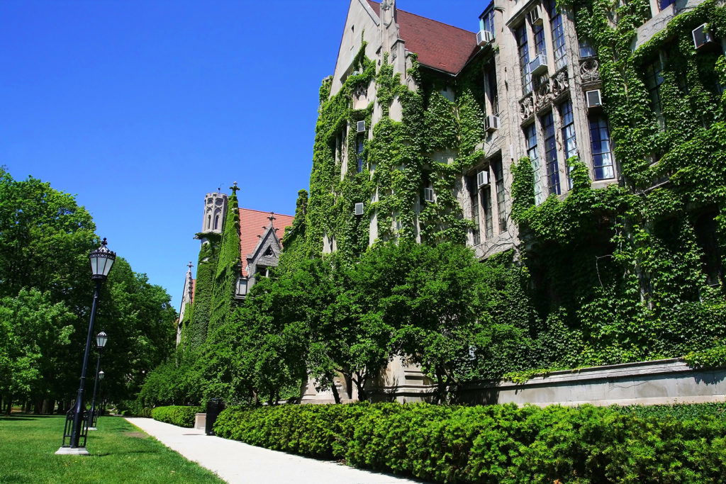 university university