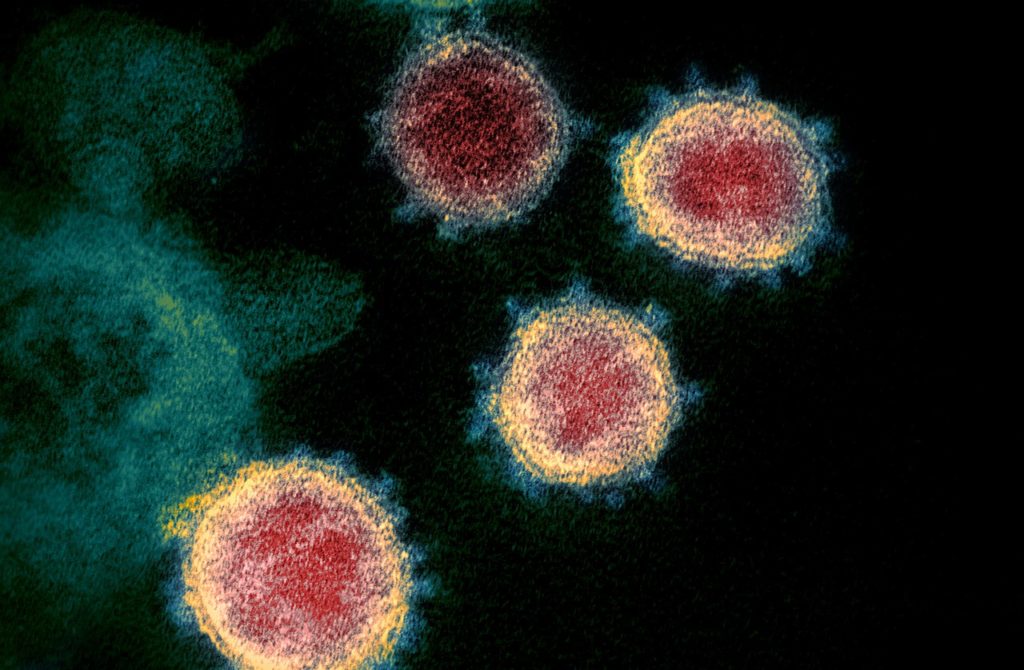 Coronavirus (COVID-19) Update Coronavirus (COVID-19) Update