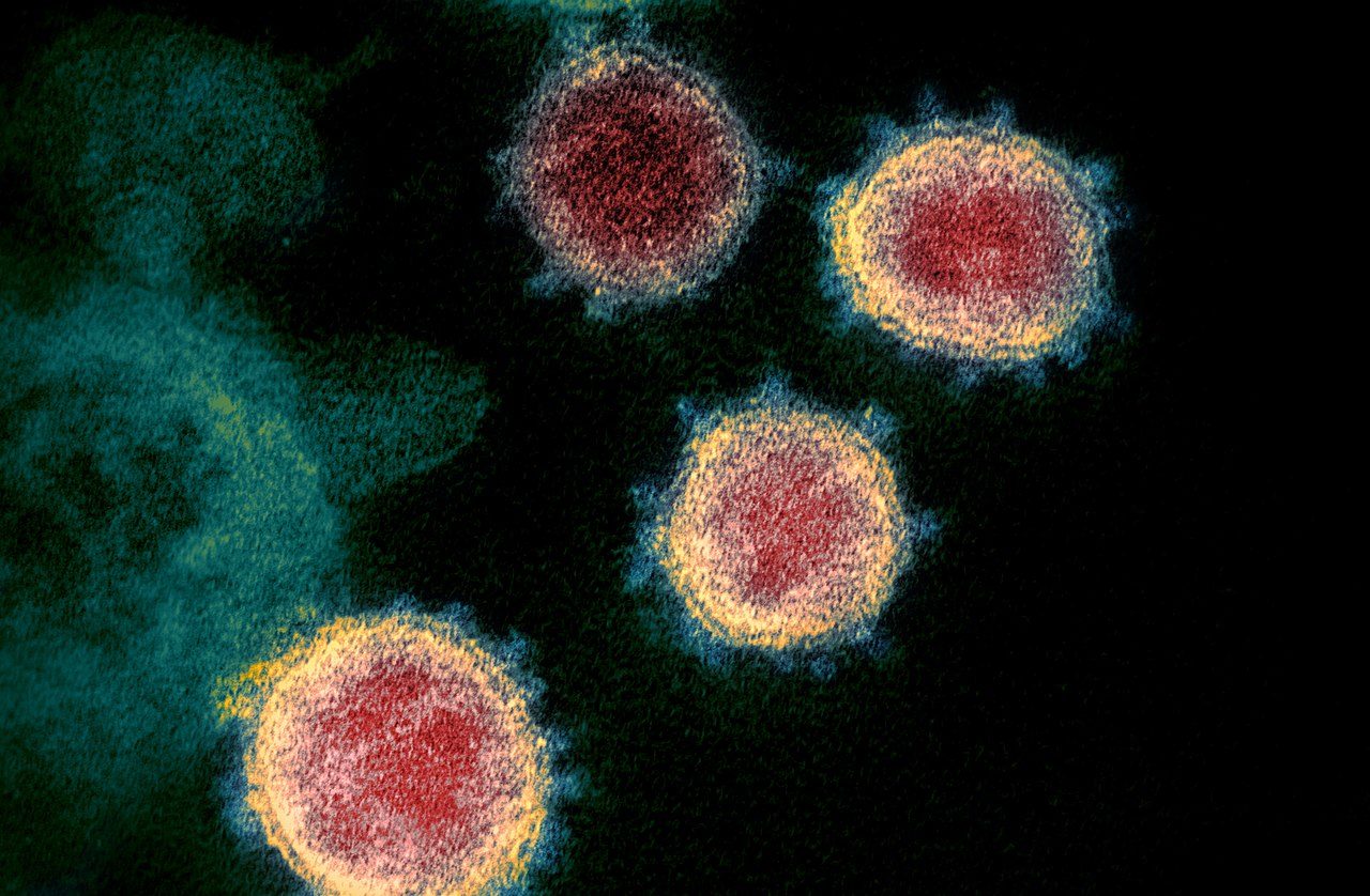 Coronavirus (COVID-19) Update