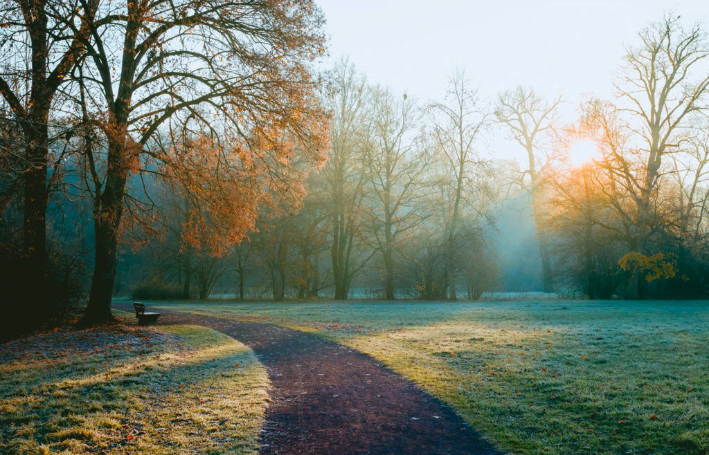park-winter park-winter