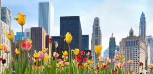Spring in Chicago, Illinois