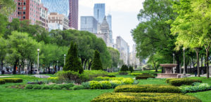 Chicago park with skyline